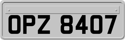 OPZ8407