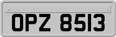 OPZ8513