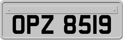 OPZ8519