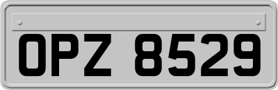 OPZ8529