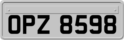 OPZ8598