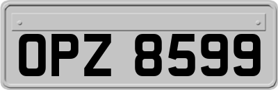 OPZ8599