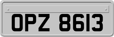 OPZ8613