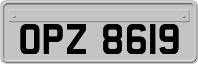 OPZ8619