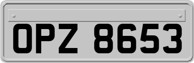 OPZ8653