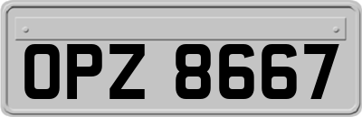 OPZ8667