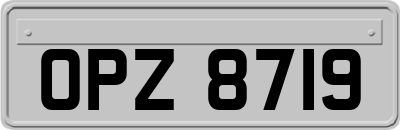 OPZ8719