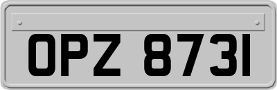 OPZ8731