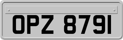 OPZ8791