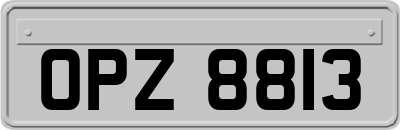 OPZ8813
