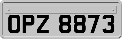 OPZ8873