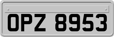 OPZ8953