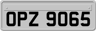 OPZ9065