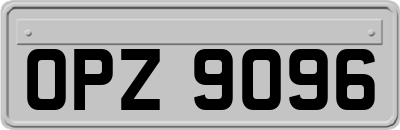 OPZ9096