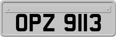OPZ9113