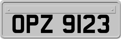 OPZ9123