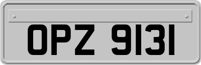 OPZ9131