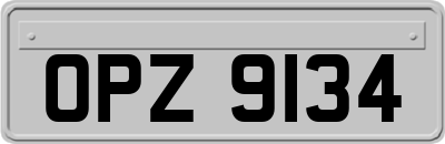 OPZ9134