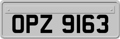 OPZ9163