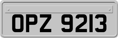 OPZ9213