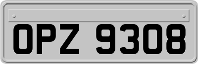 OPZ9308