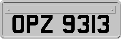 OPZ9313