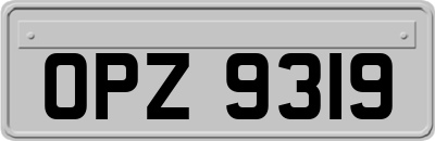 OPZ9319