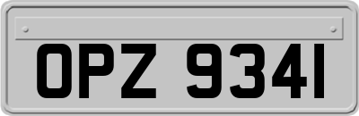 OPZ9341