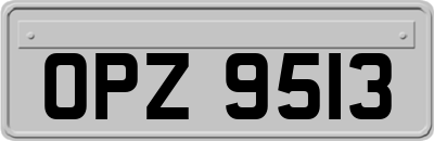 OPZ9513
