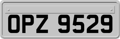 OPZ9529