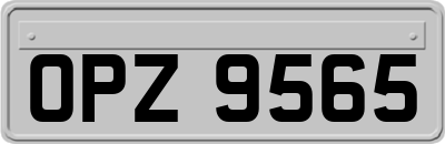 OPZ9565