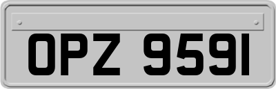 OPZ9591