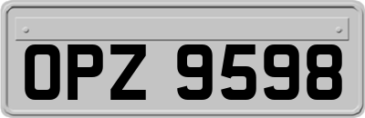 OPZ9598