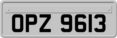 OPZ9613