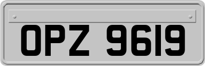 OPZ9619