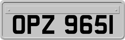 OPZ9651