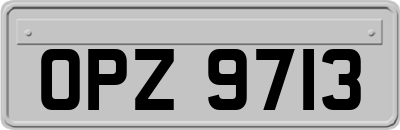 OPZ9713