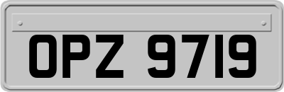 OPZ9719