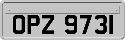 OPZ9731