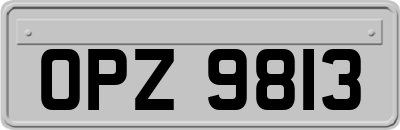 OPZ9813