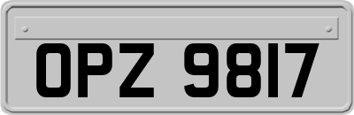 OPZ9817