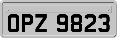 OPZ9823