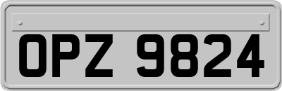 OPZ9824