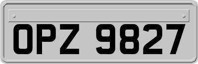 OPZ9827