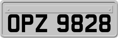 OPZ9828