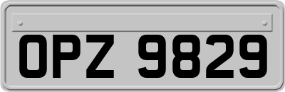 OPZ9829