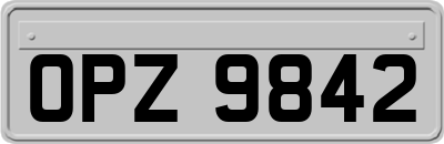 OPZ9842