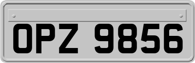 OPZ9856