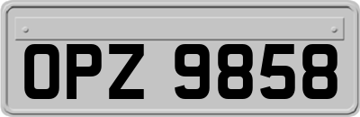 OPZ9858