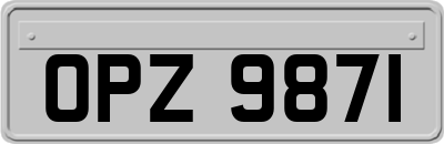 OPZ9871